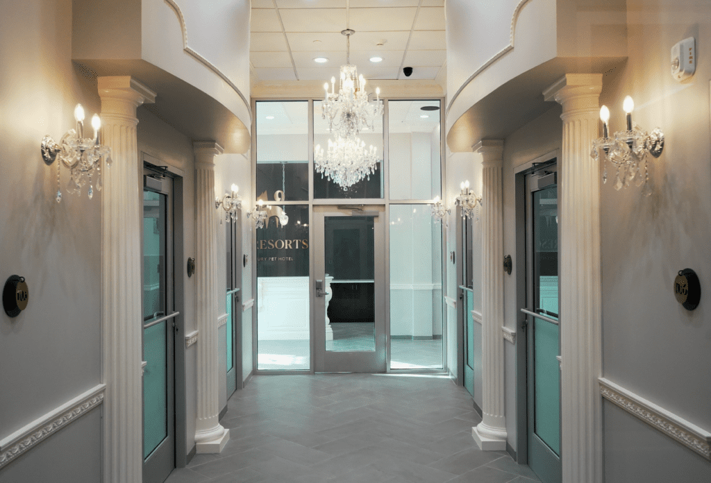 Texas Steel Building Erection